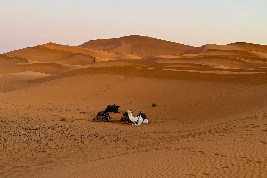 Best 4 Days Tour From Marrakech To Merzouga Desert