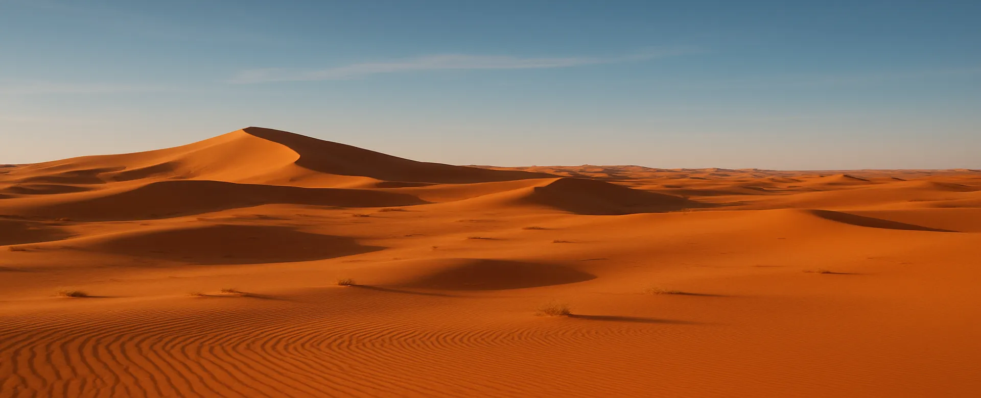 Save on our most popular tours