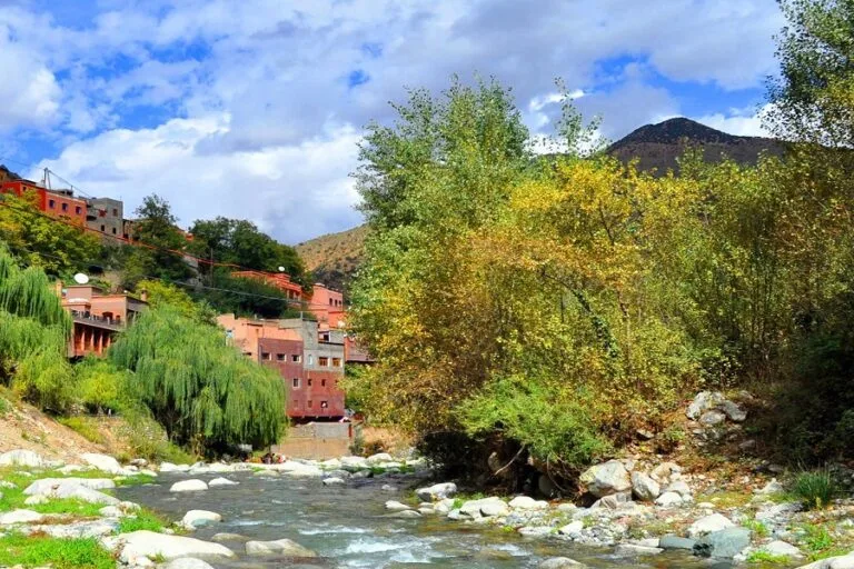 Tours From Marrakech